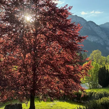 아파트 Zehentmoar *