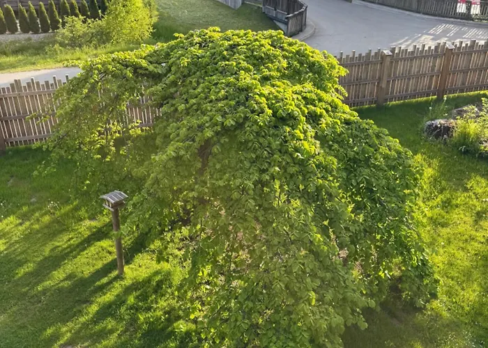 Zehentmoar Апартаменты *