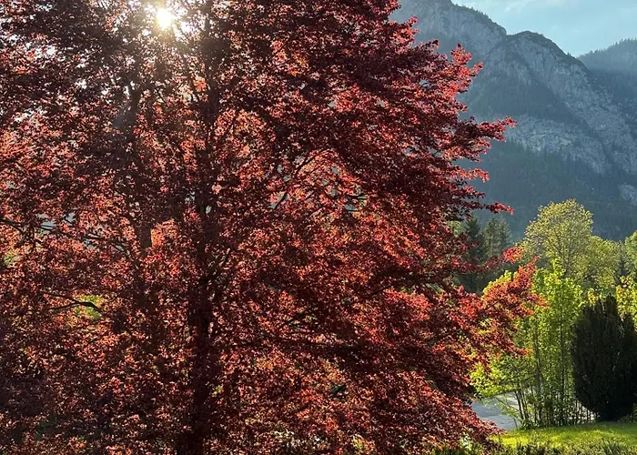 Διαμέρισμα Zehentmoar *